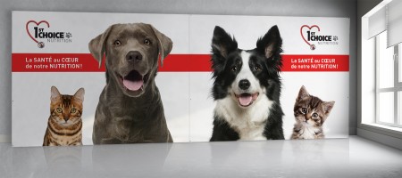 Kiosque – Exposition – SDA3